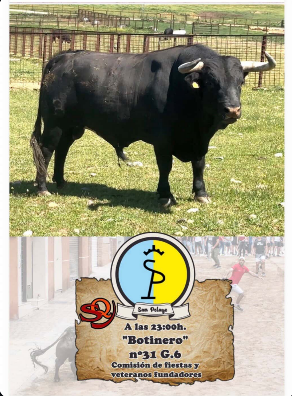 Toro cerril embolado ganader&iacute;a San Pelayo &mdash; Botinero