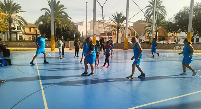 AFANIAD La Vall d'Uix&oacute; c&oacute;mo colaborar