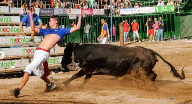 Concurso de Ganader&iacute;as de Les Penyes en Festes 2026
