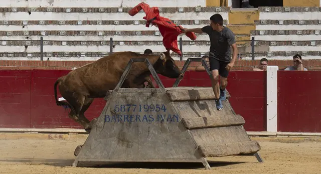 Trayectoria de Ganader&iacute;a Benavent en concursos y exhibiciones