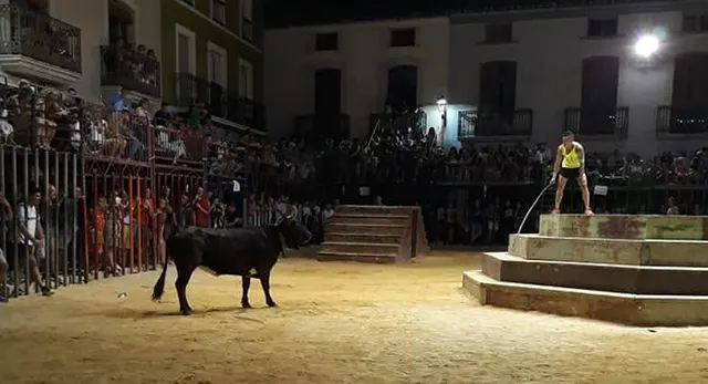 Res de la Ganadería Els Coves