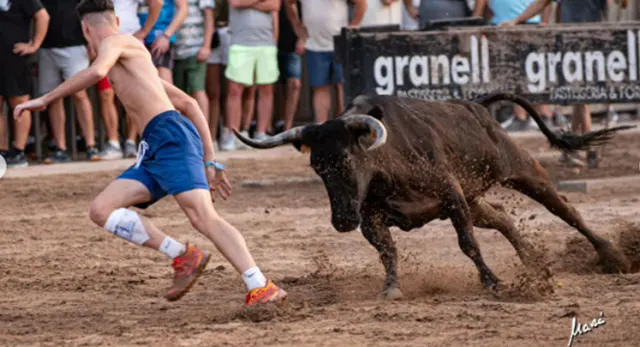Programaci&oacute;n taurina de Les Penyes en Festes