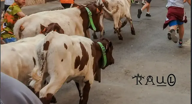 Ganader&iacute;a V&iacute;ctor R&oacute;denas VR durante una trashumancia taurina
