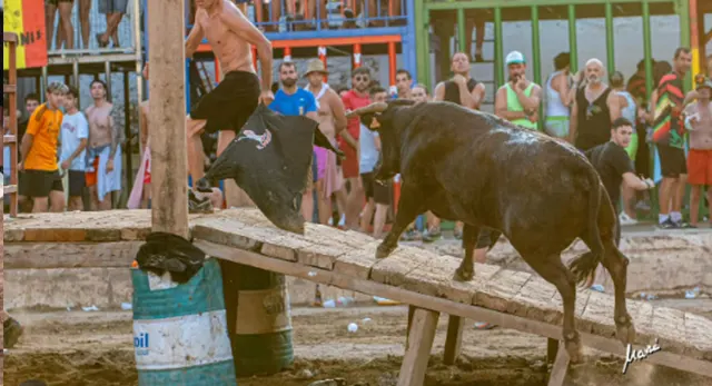 Exhibici&oacute;n del Concurso de Ganader&iacute;as de La Vall d&rsquo;Uix&oacute;