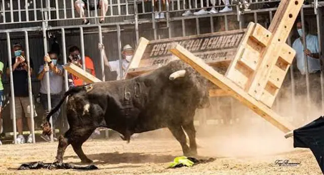 Res emblem&aacute;tica de Ganader&iacute;a Benavent