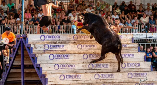 Concurso de Ganader&iacute;as en Les Penyes en Festes