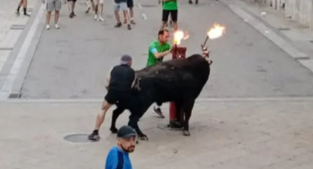 Ganader&iacute;a Hermanos Bell&eacute;s y sus reses bravas