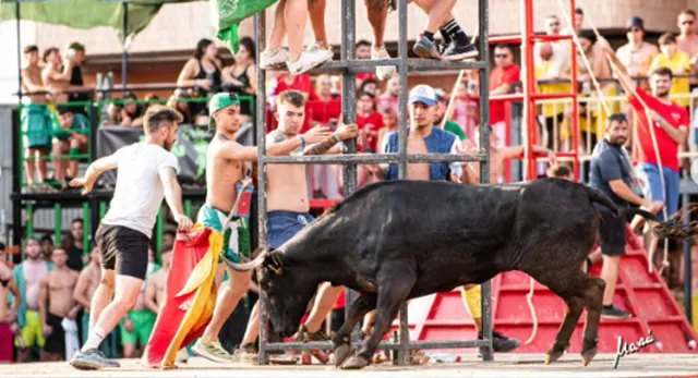 Programa del Concurso de Ganader&iacute;as de La Vall d&rsquo;Uix&oacute; 2026