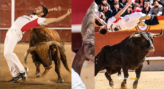 Campeonato de Espa&ntilde;a de Recortadores organizado por Toropasi&oacute;n