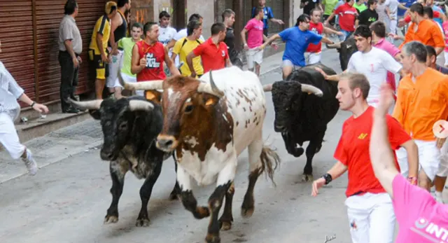 Ambiente taurino en Les Penyes en Festes de La Vall d&rsquo;Uix&oacute;