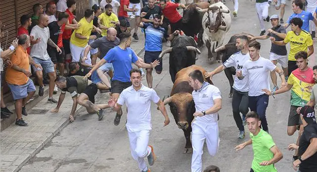 Encierro de Les Penyes en Festes 2026 por las calles de La Vall d&rsquo;Uix&oacute;