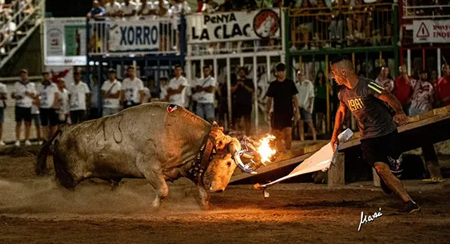 Cadafals y público durante una noche taurina de Les Penyes