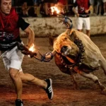 Noches taurinas en Les Penyes en Festes 2026