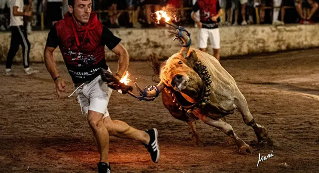 Exhibición nocturna en la plaza del Mercado de La Vall d’Uixó