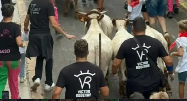 Tradici&oacute;n ganadera y participaci&oacute;n familiar en la trashumancia
