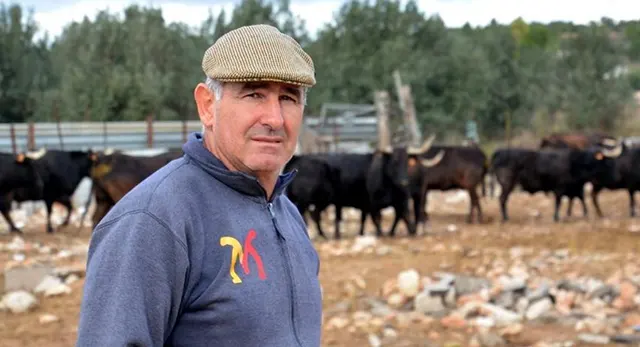 Animal de la vacada de Dani Machancoses