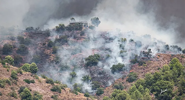 Entorno rural afectado por el incendio