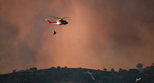 Regeneraci&oacute;n del paisaje tras el incendio