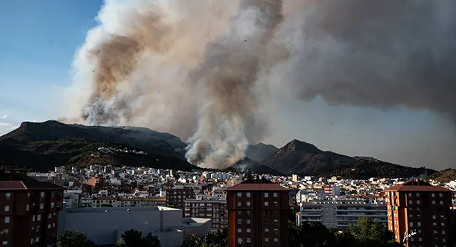 Terreno forestal afectado por el incendio en La Vall d&rsquo;Uix&oacute;
