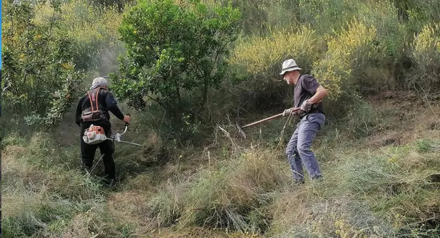 Actuaci&oacute;n de La Vall Verda en Aigualit